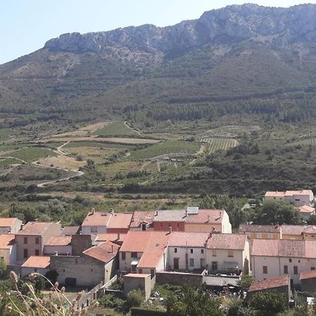 Apartament La Tomette Entre Terre Et Mer 2 Etoiles Maury Zewnętrze zdjęcie